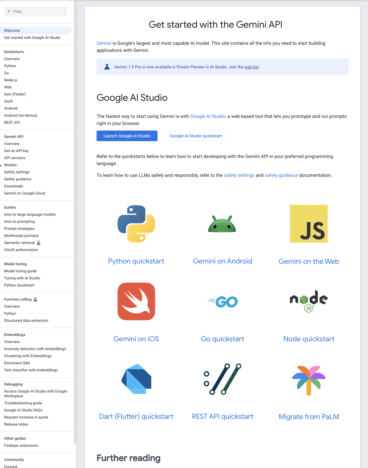 Google API Docs